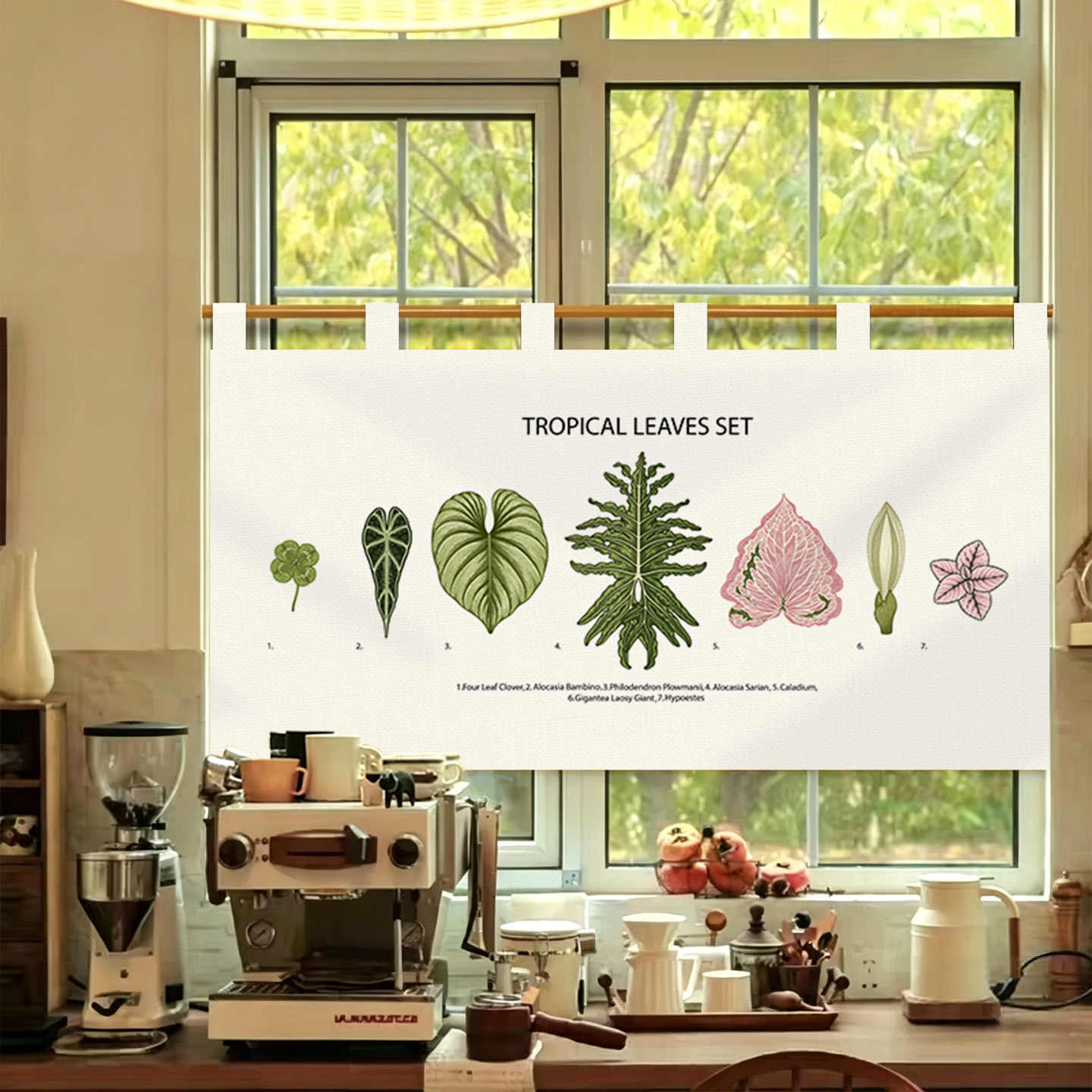 Cortina de Puerta Noren Vintag - Commercial Window Printing reseña y precio